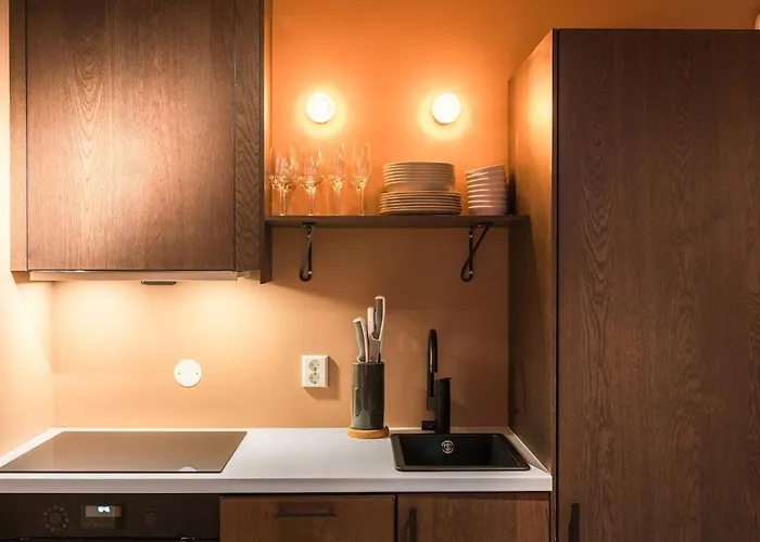 Private In Historic Street * Μπέργκεν